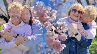 СЧАСТЬЕ - это когда любимые рядом | цветение сакуры в Канаде
