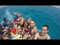 Sataya Reef 2017 Dolphin House GopRo 4 Black 6/8 Marsa Alam Red Sea Egypt DKrutikov ctr4mars