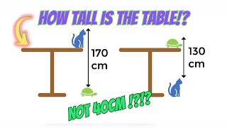 How Tall Is The Table Cat And Turtle Riddle