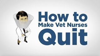 How to Make Vet Nurses Quit -- with Dr. Andy Roark