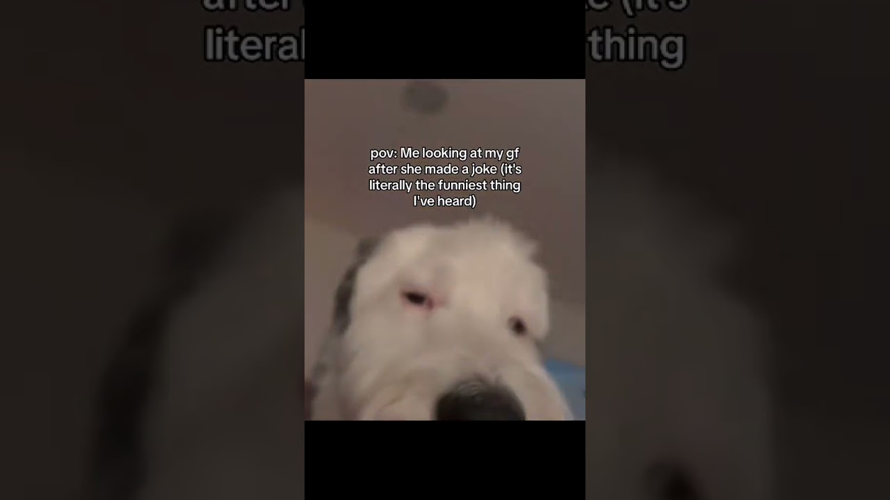 Sound- Cypress Dreams by Midnight Music 