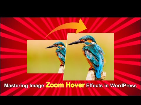 WordPress Website Design: Adding Image Zoom Hover Effect in #elementor