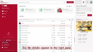 CherryFile explains - Using file details screenshot 4
