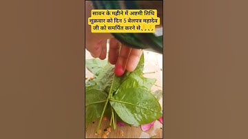 सावन माह में अष्टमी तिथि के पांच बेलपत्र महादेव जी को समर्पितकरनेसे इच्छा पूर्ति उपाय#shorts#mahadev