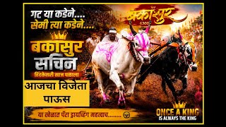 बकासुर आणि सचिन टॉप ❤️✅#shorts#bailgadasharyat#bakasur#बकासुर#नाद#bailgada#bailgadapremi#बैलगाडा