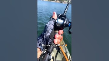 Thumbnail of Amazing sound of Shimano SLX DC