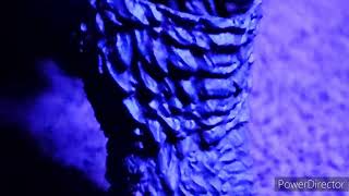 godzilla 2021 walk/blue lighting test.