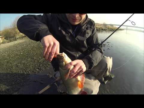 Salmo Tiny video