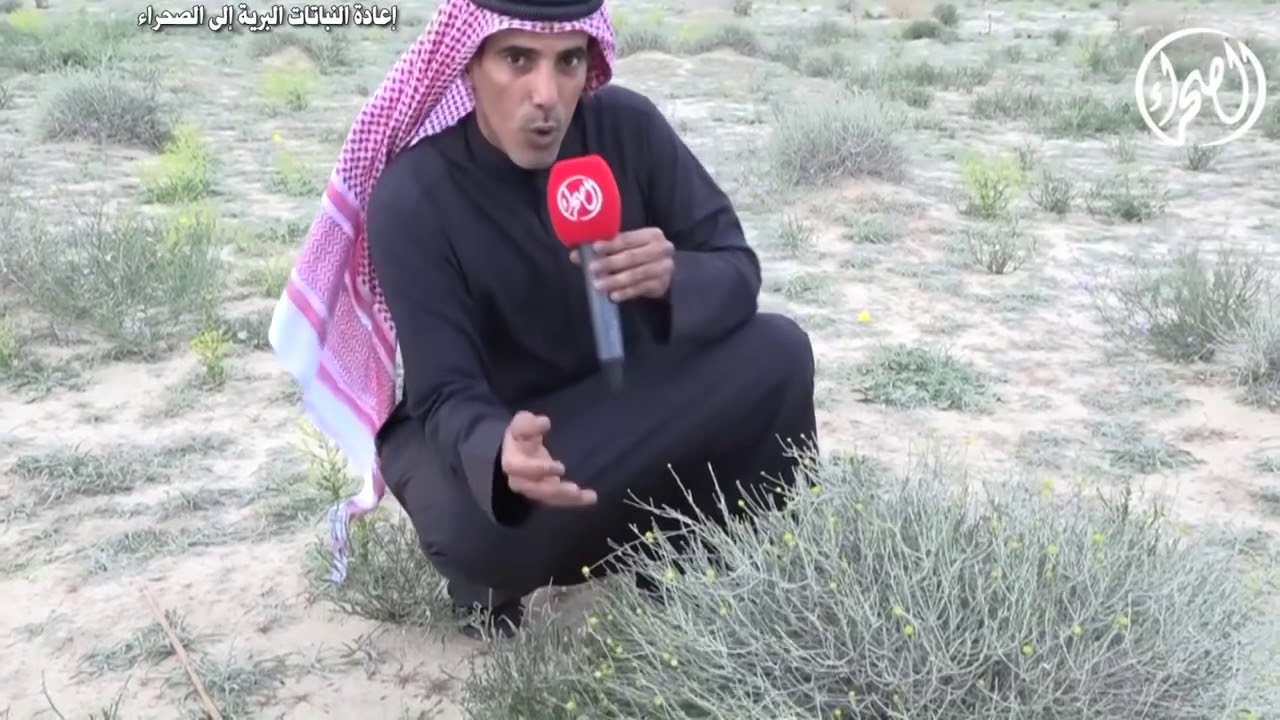 إعادة النباتات البرية ناصر بداح الهاجري ٢٠١٦