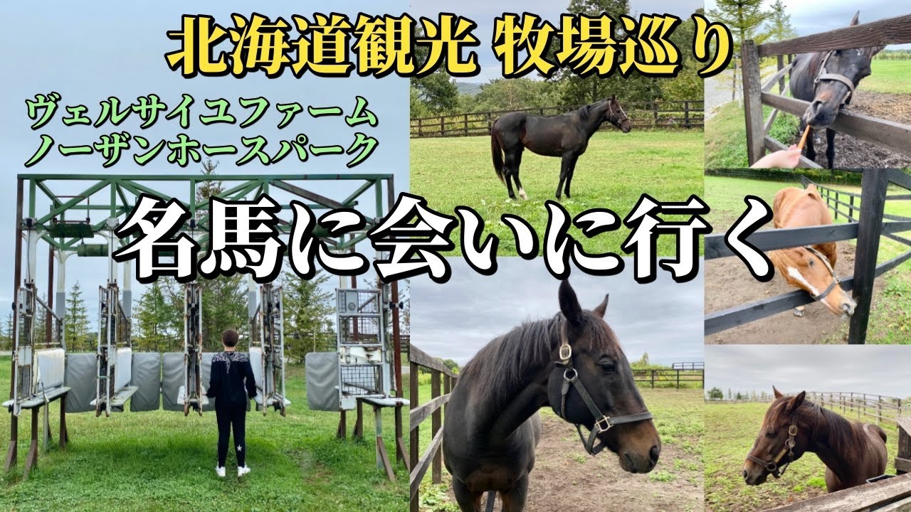 名馬に会いに行く！【北海道牧場巡り】馬産地で癒される旅