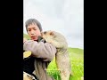 மண் பன்றியின் சிறந்த நண்பர்! / #tamilfacts #tamilnews #tamil #shorts #facts #viral groundhog