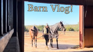 Come do Barn Chores with me! | Barn Vlog | DibbleCraft