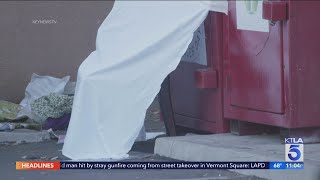Celebrity Dead woman found partially in Santa Clarita donation box Wealth
