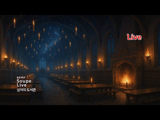 심야의 도서관 | 고요한 호그와트 그레이트홀, 장작타는소리 + 음악(다른방) Study with me 스윗미