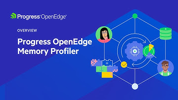 Progress OpenEdge Memory Profiler
