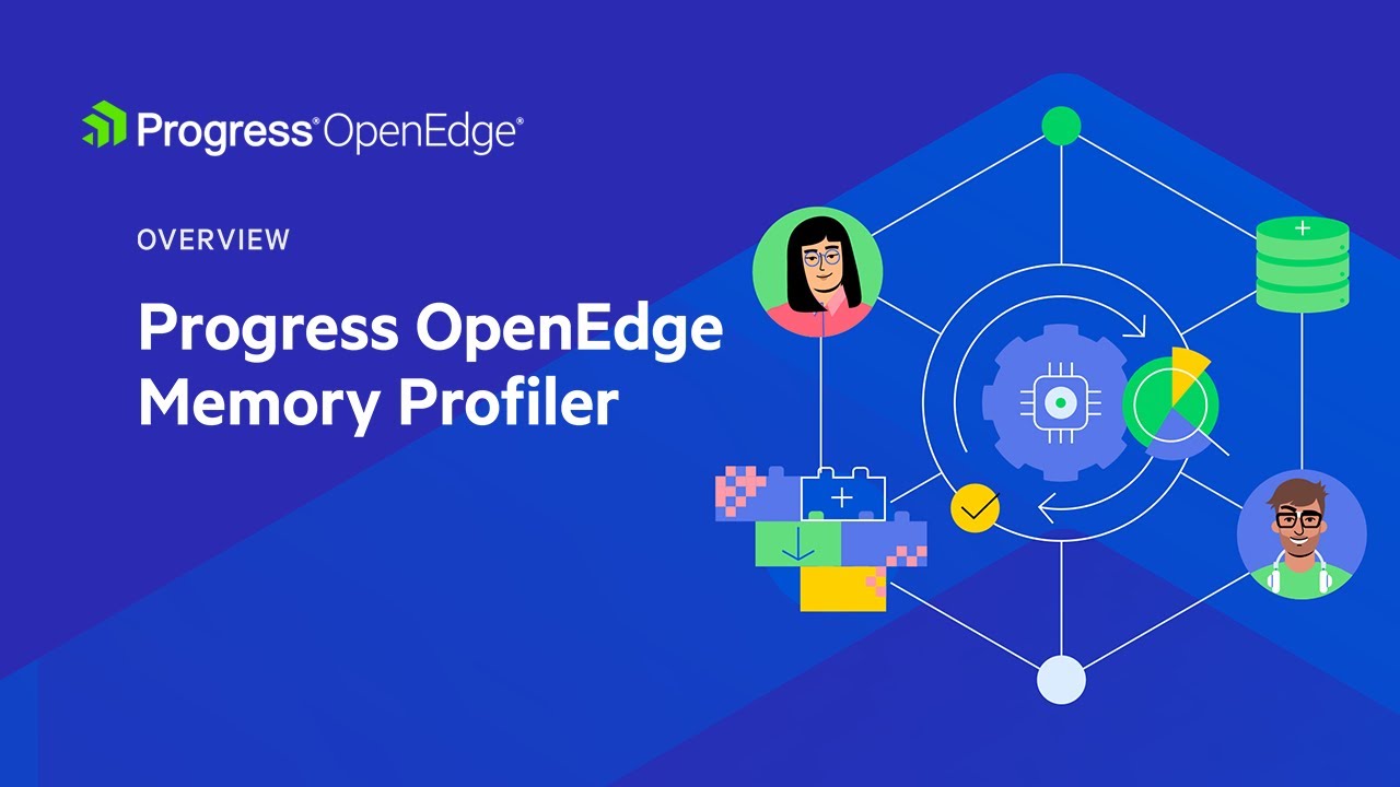 Progress OpenEdge Memory Profiler - YouTube