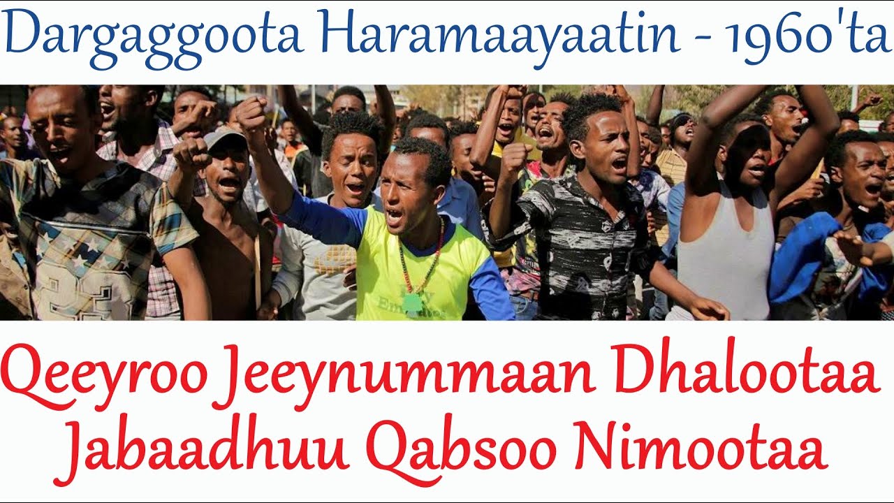 Qeeyroo Jeeynummaan Dhalootaa - Dargaggoota Haramaayaa - 1960’ta keeysa ...