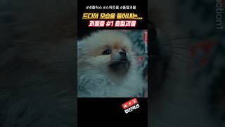 드디어 모습을 들어내는 괴물들 1번 흡혈괴물 #스위트홈 #흡혈괴물 #넷플릭스