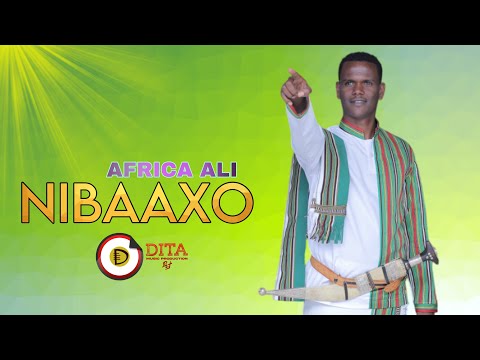 Ethiopian Music Africa Ali Nibaaxo New Afar Ethiopian Song 2025 Official Audio 