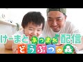 【#17 小学館の図鑑NEO紹介&ゲーム配信】マンボウって魚⁇何科⁇