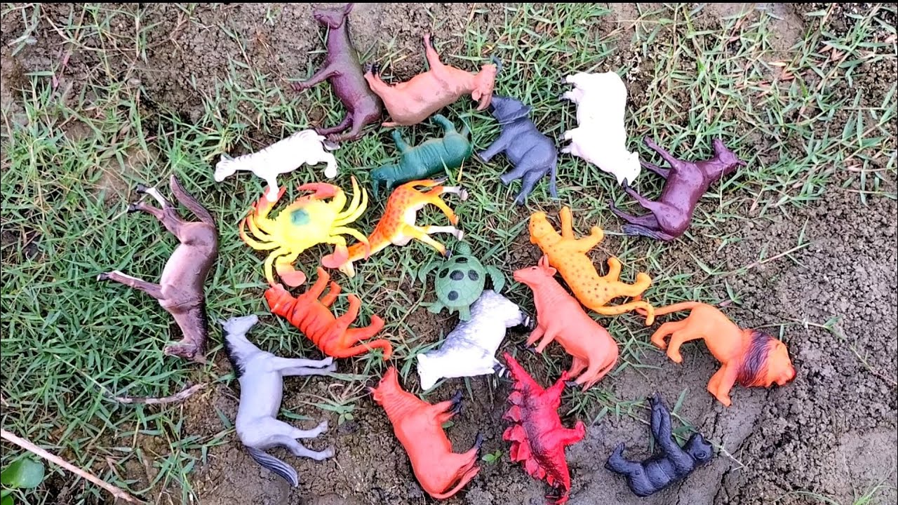 animal toys set collection 2022 | animal video