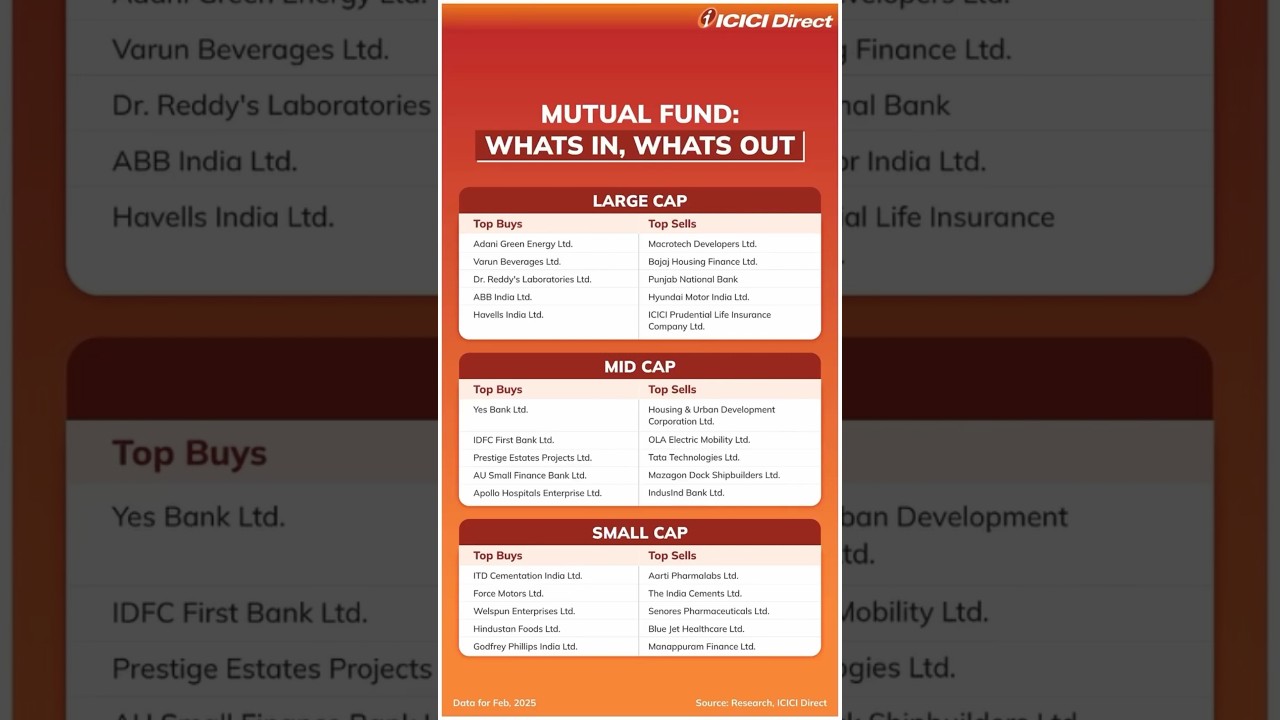 Top Mutual Funds Bought And Sold In February 2025 | ICICI Direct