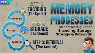 Memory Processes: Encoding, Storage & Retrieval | Psychology Part 1