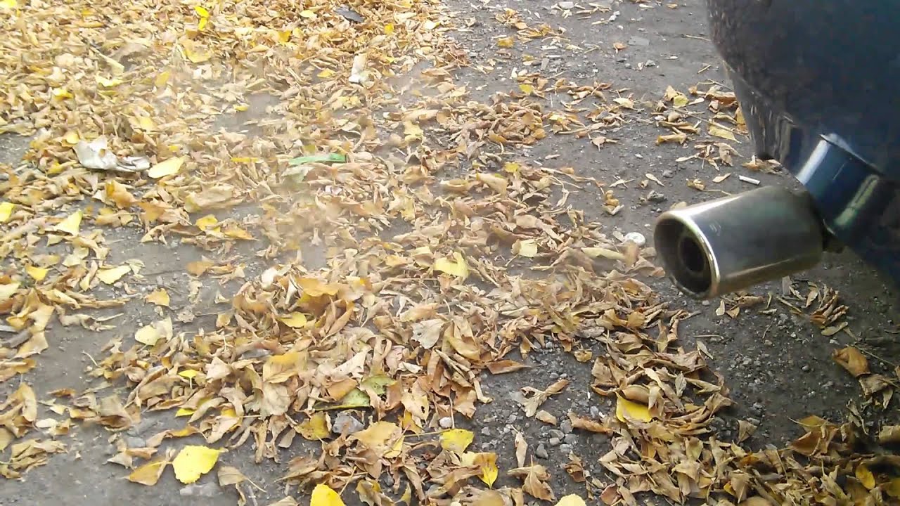 Калина сод - YouTube