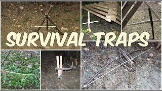Survival traps : Tunisian Bird Trap Style Dead Fall