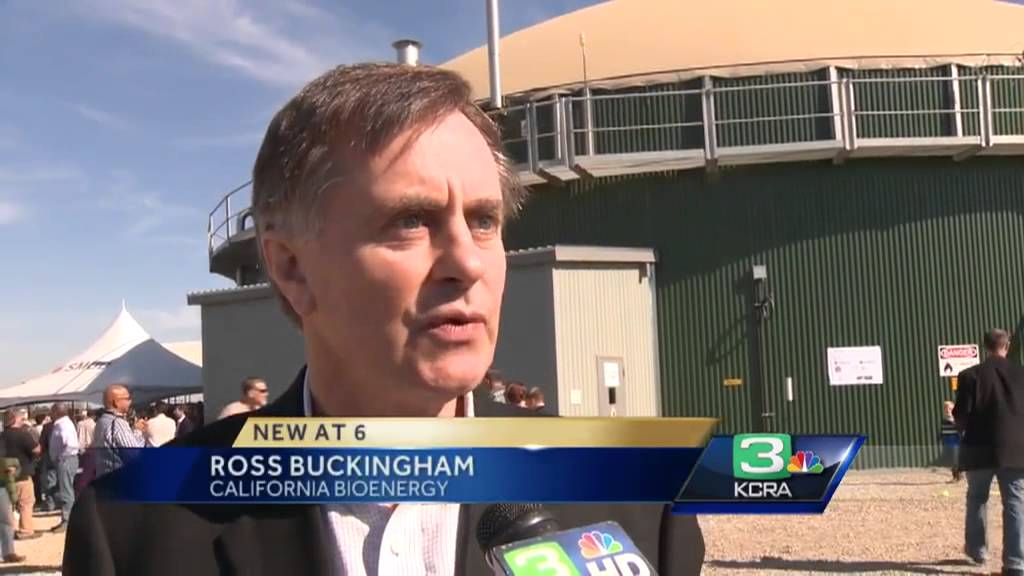 Cow manure to generate power?