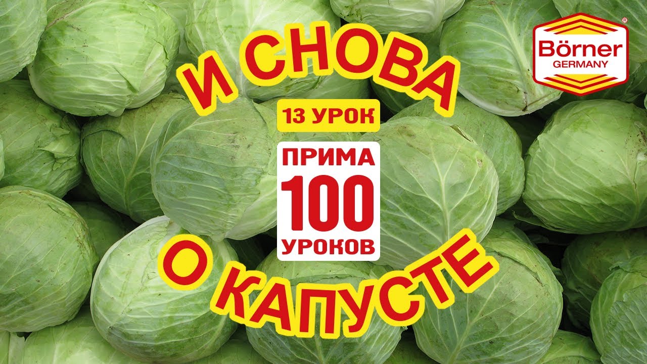 #ПРИМА100уроков