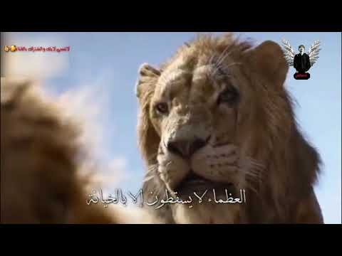 الشاعر مأمون النطاح ردت اكبرك لاكن انت اظل زغير