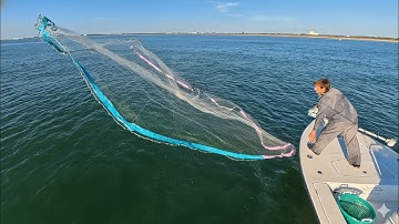 Catching GIANTS for Dinner with Cast Net and then Using them for Bait