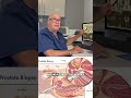 Let me explain why it's valuable to get a prostate MRI before a biopsy! #biopsy #prostatecancer #mri
