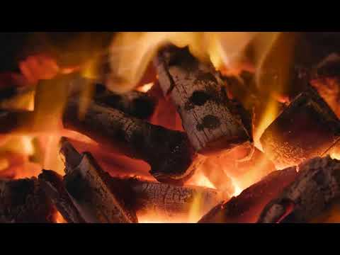 סרטון חזק בנושא סיבת הייסורים ומעלתם | הרב דניאל זר