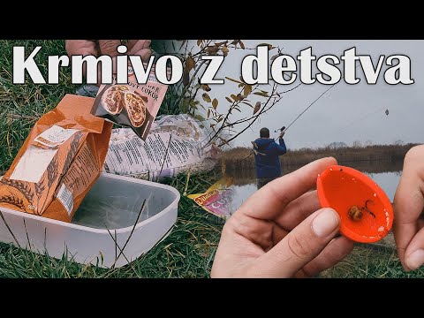 Video: Ako kŕmiť výstavné ošípané?