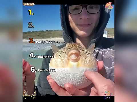 🤣👌👌👌2026 pov Must-Watch Crazy Clips Compilation #humor #fypシ #pov #fyp #foryou 😍😜