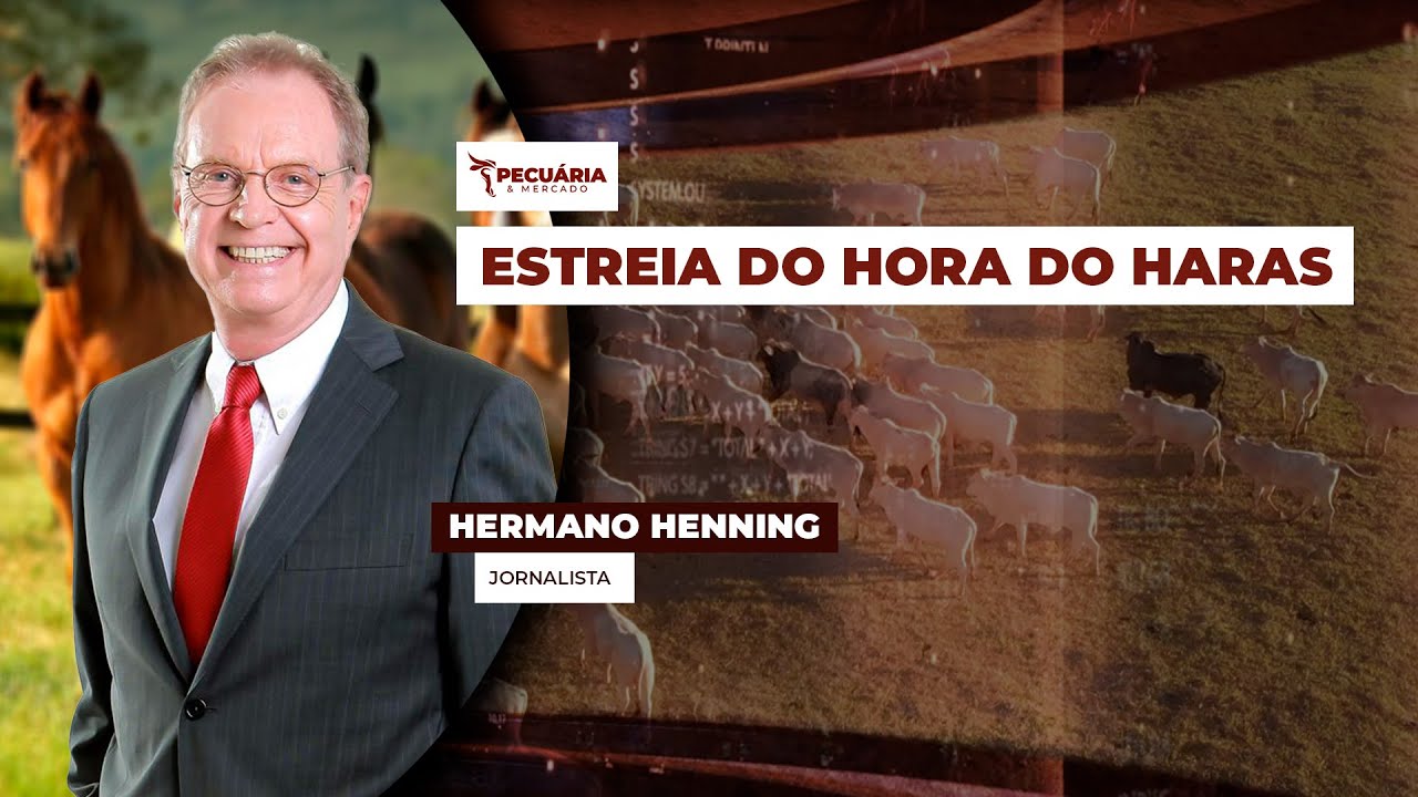 O jornalista Hermano Henning fala sobre o mundo dos cavalos, suas paixões e seus desafios