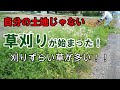 自分の土地じゃない場所の草刈りがまた始まった!今年のこの雑草刈りずらすぎる!!非農家ど田舎人。