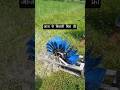 हाइड्रोइलेक्ट्रिक मोटर 😱#monster #rc #shots