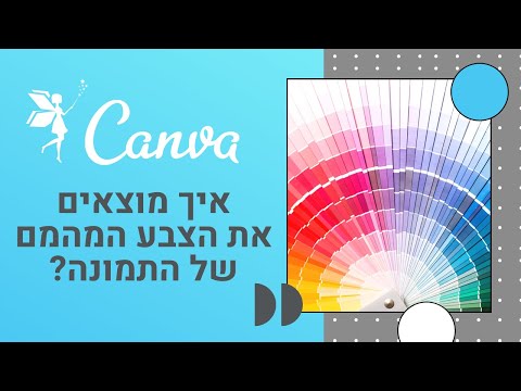 וִידֵאוֹ: האם יש בוחר צבעים ב-Canva?