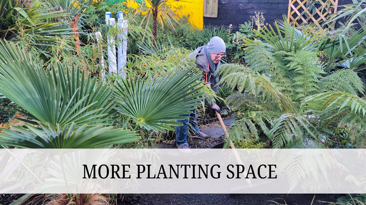 174. Creating A Larger Tropical Bed: January 2026