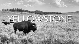 Yellowstone National Park - Highlights
