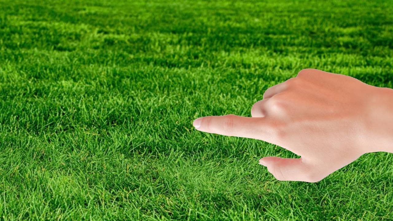 How to touch grass, for those downloading grass touching simulator 