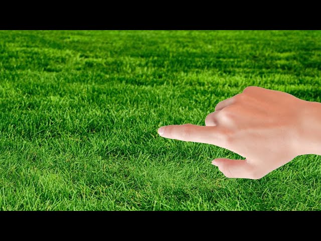 Touch Grass - Roblox