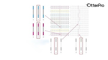 Model S 60 DTF Printer - Printhead Calibration
