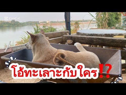โอ้ทะเลาะกับใครเมื่อคืน⁉️ โอ้ทะเลาะกับใครเมื่อคืน⁉️