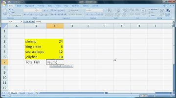 Excel 2007 Part 2 - Formulas