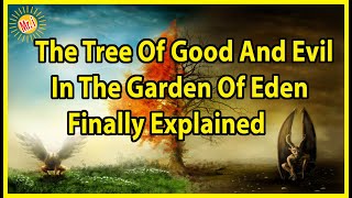 Tree Of Good and Evil In The Garden Of Eden EXPLAINED | Bible Study Powerful Talk | Mr Inspirational