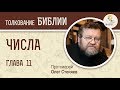 Числа. Глава 11. Протоиерей Олег Стеняев. Ветхий Завет